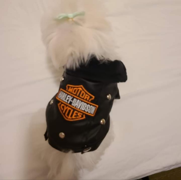 Harley davidson puppy jacket xs - Picture 2 of 2